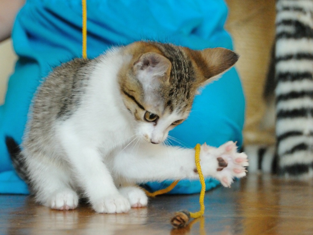 2012 06 24 4054  D300sA