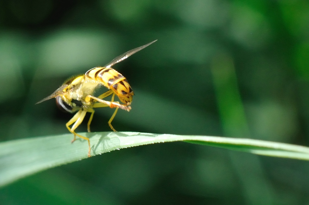 2012 06 30 4619  D300sA