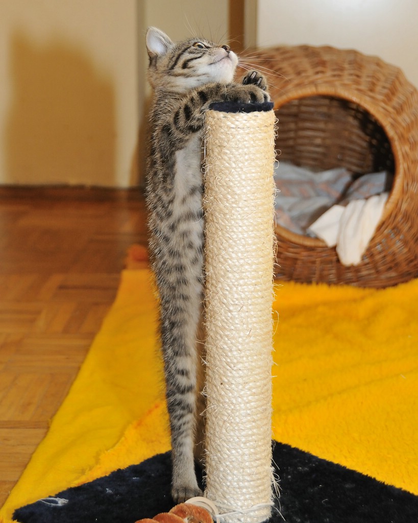 2012 07 08 5124  D300sA