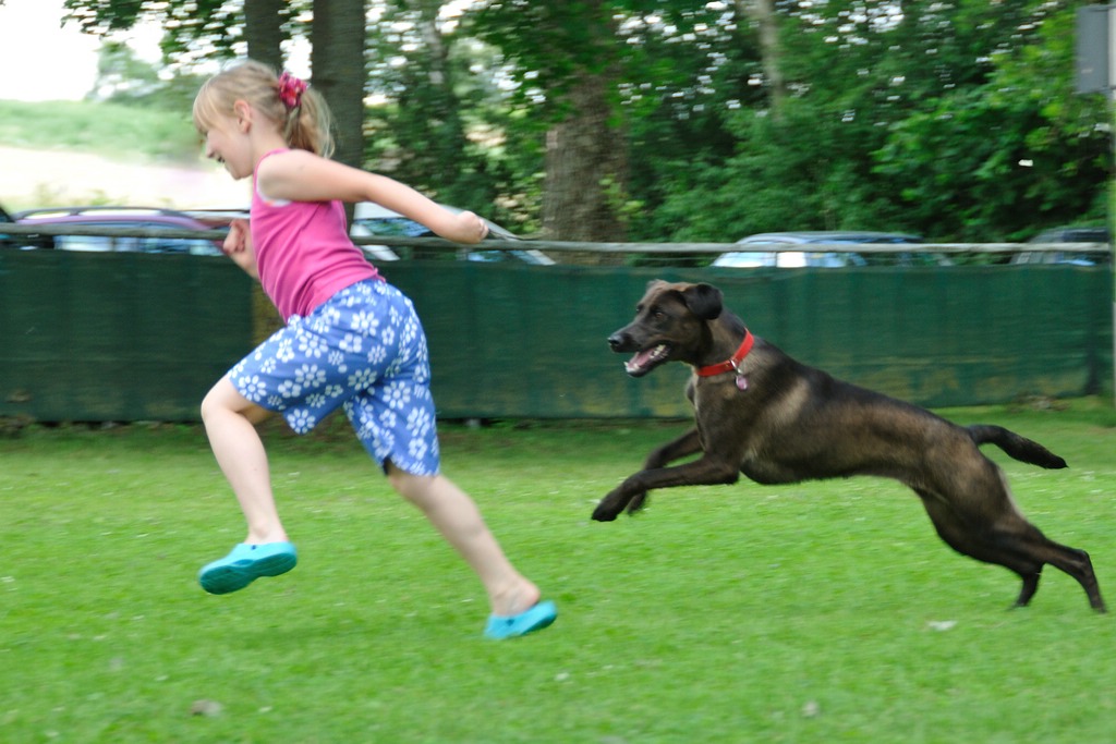 2012 07 08 5333  D300sA