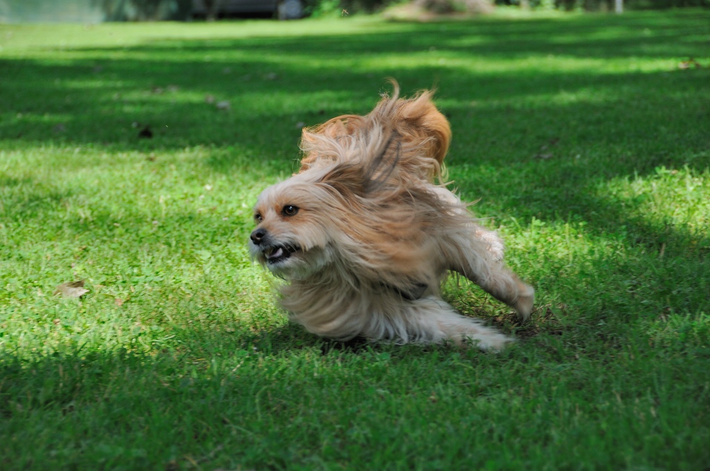 2012 07 08 5440  D300sA
