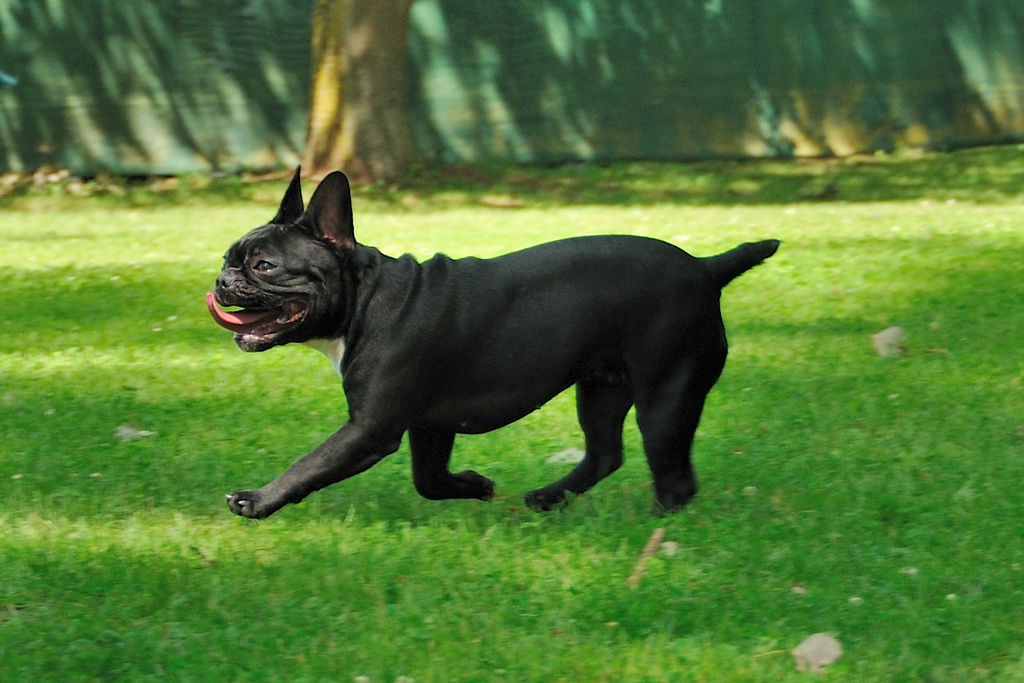 2012 07 08 5477  D300sA