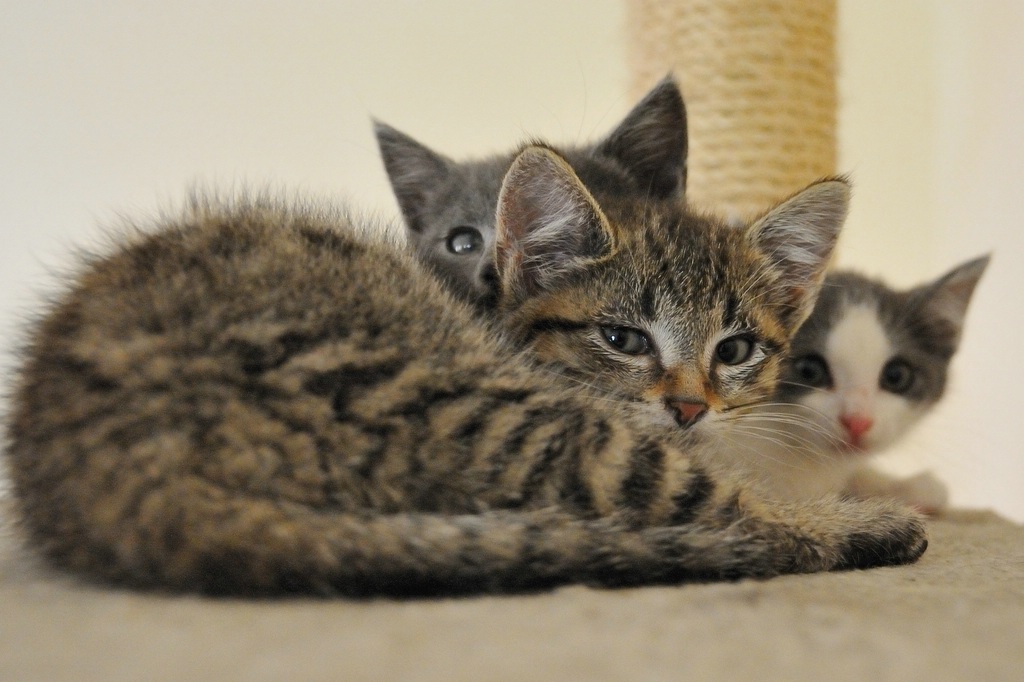 2012 07 11 5541  D300sA