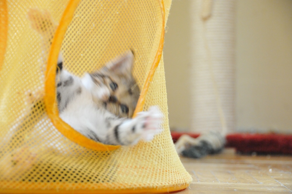 2012 07 14 5631  D300sA