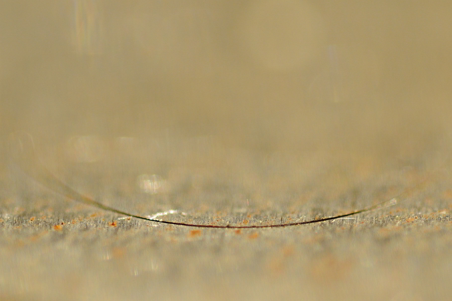 2012 09 04 0193