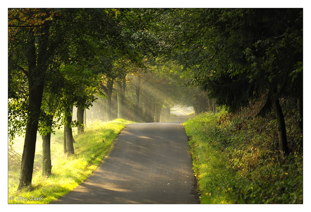 2012 09 14 DSC 5554 w