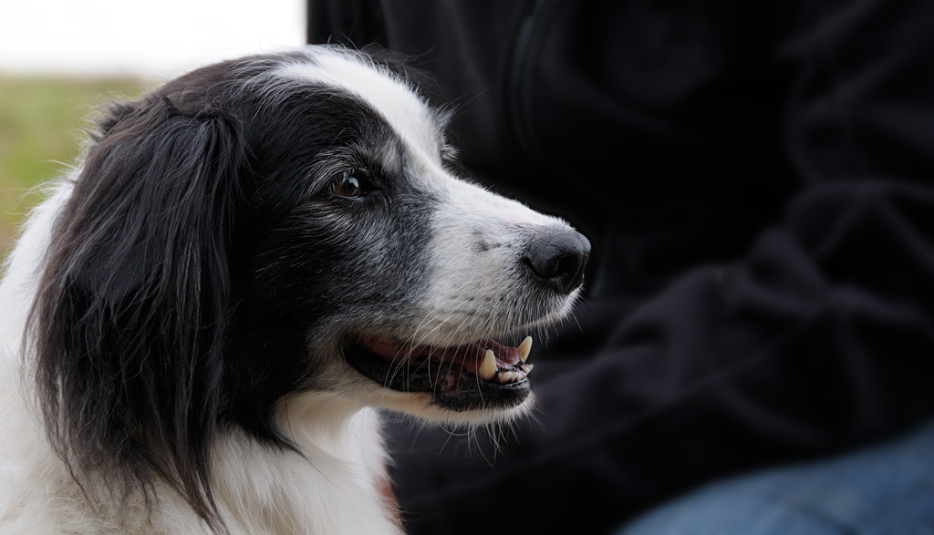 2012 09 15 8639  D300S A 1