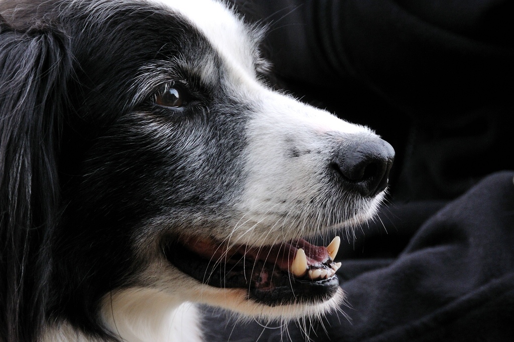 2012 09 15 8639  D300S A