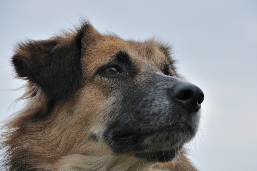 2012 09 15 8711  D300S A