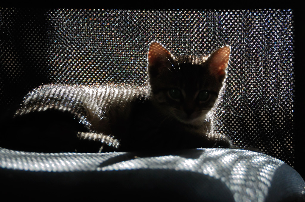 2012 09 30 9459  D300S A