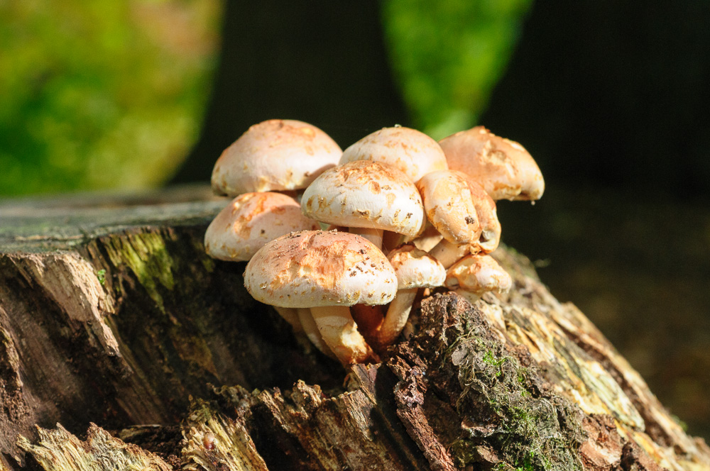 2012 10 14 15 23 31 1