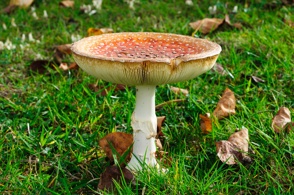 2012 10 19 15 40 30 1