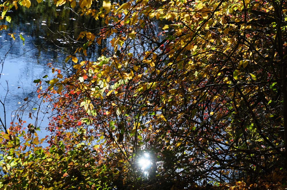 2012 10 27 15 13 42 1