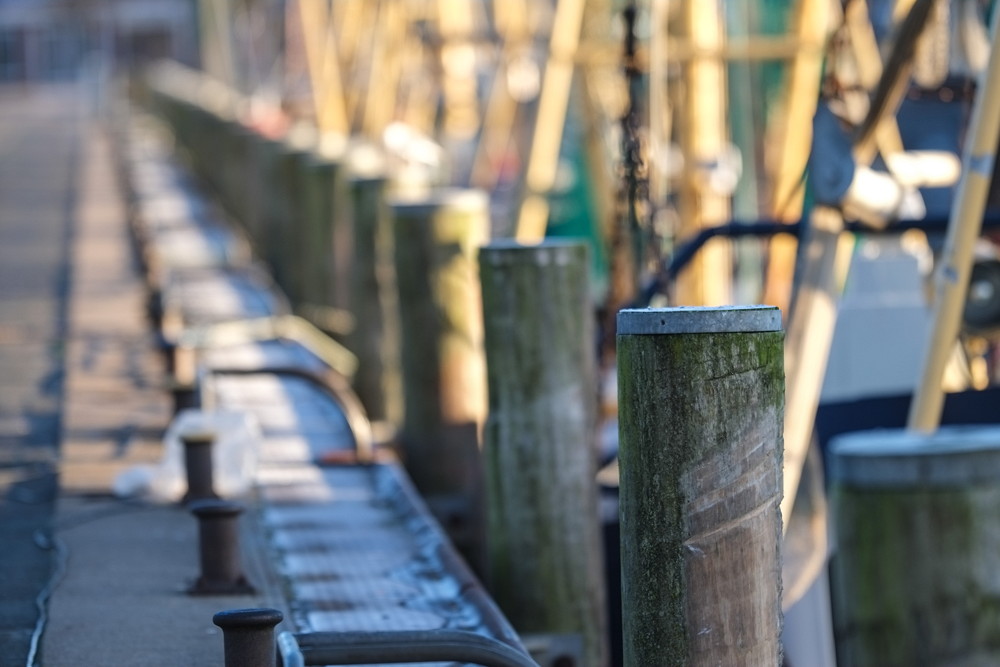 2012 11 30 093228 - Hafen Büsum - 
1/750s - f 2.0 - ISO 200 - NIKKOR 200mm f/2.0 mit Novoflex-Adapter