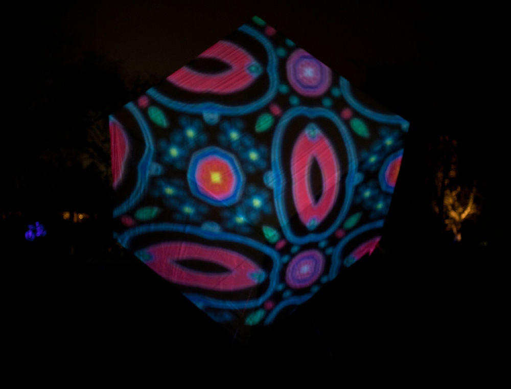 2012 Parkleuchten Gruga 15