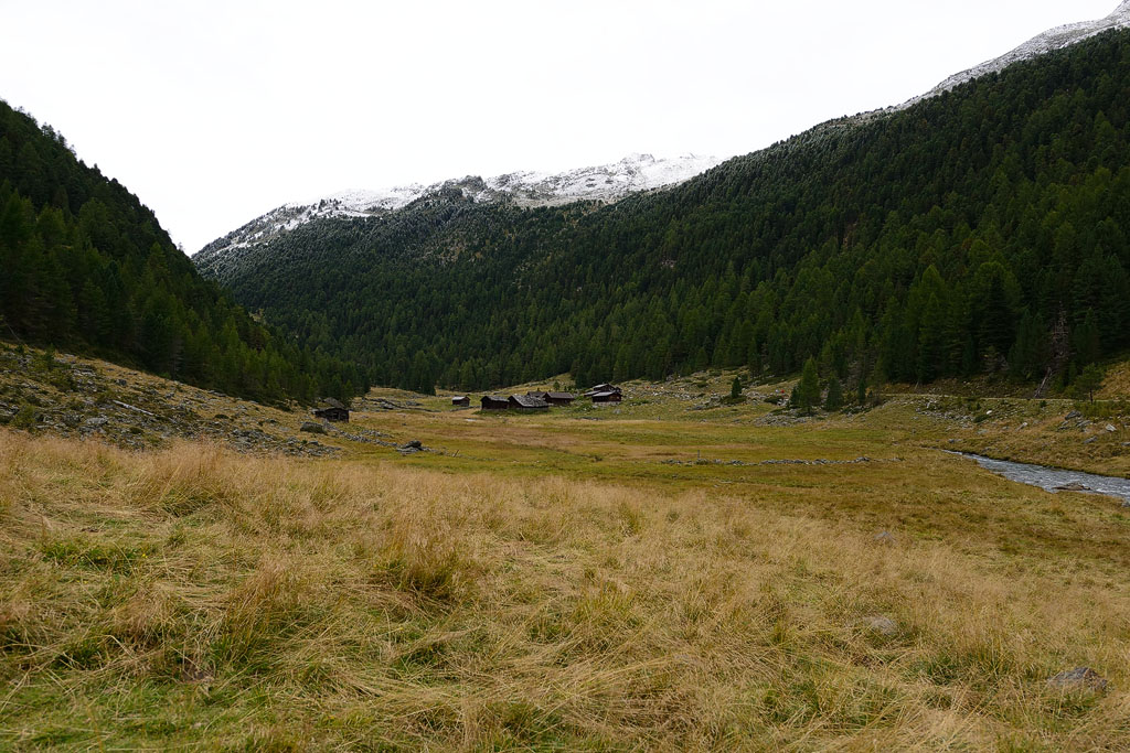 2012 Sep Matrei 410