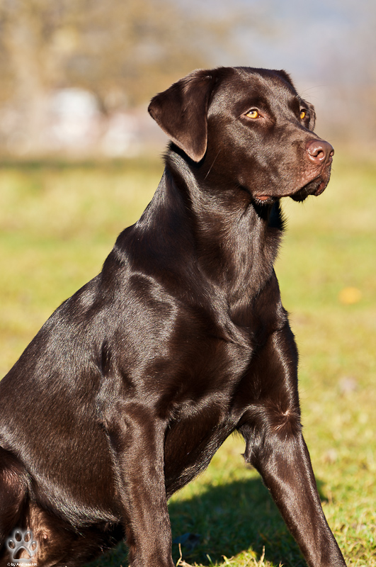 20120103 DSC 7548