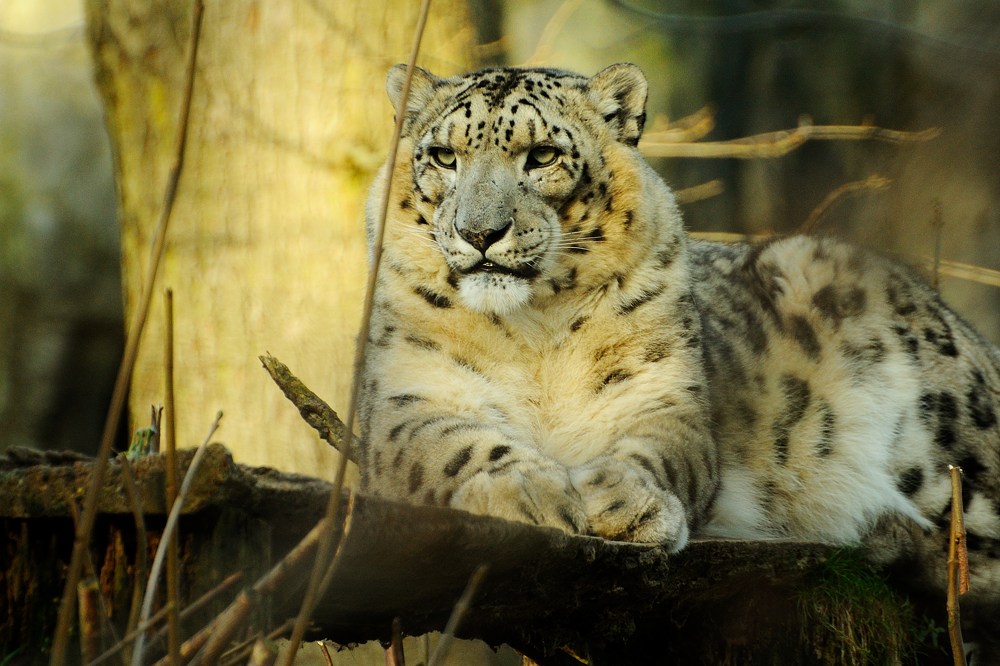 20120115 08 Zoo Rostock