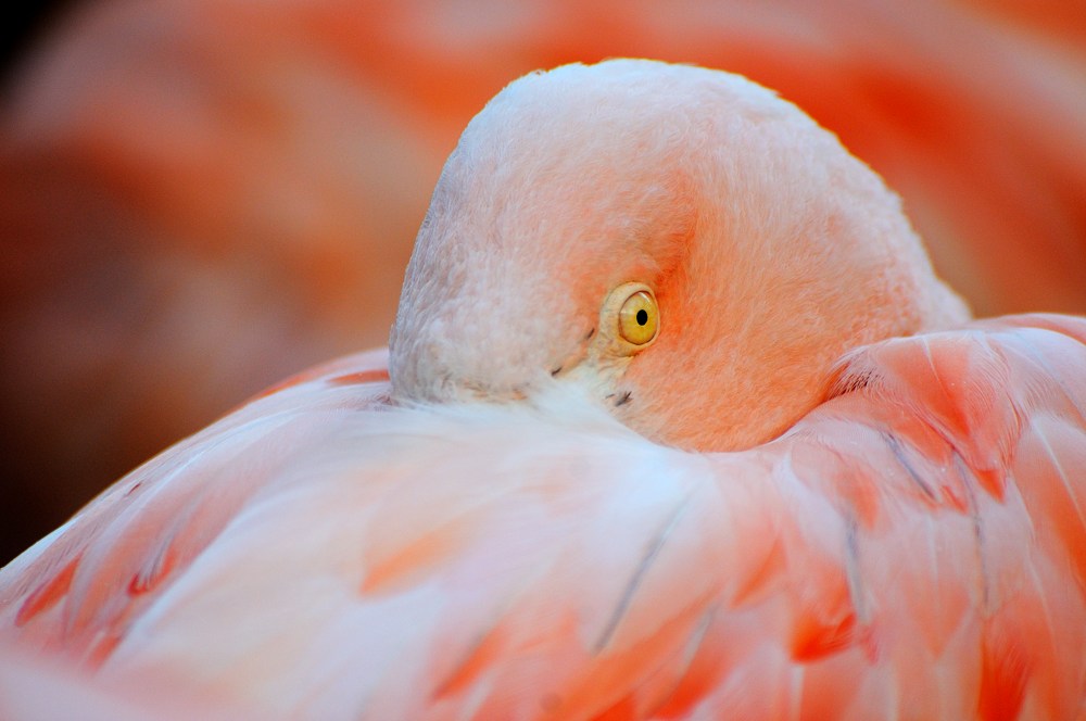 20120115 19 Zoo Rostock