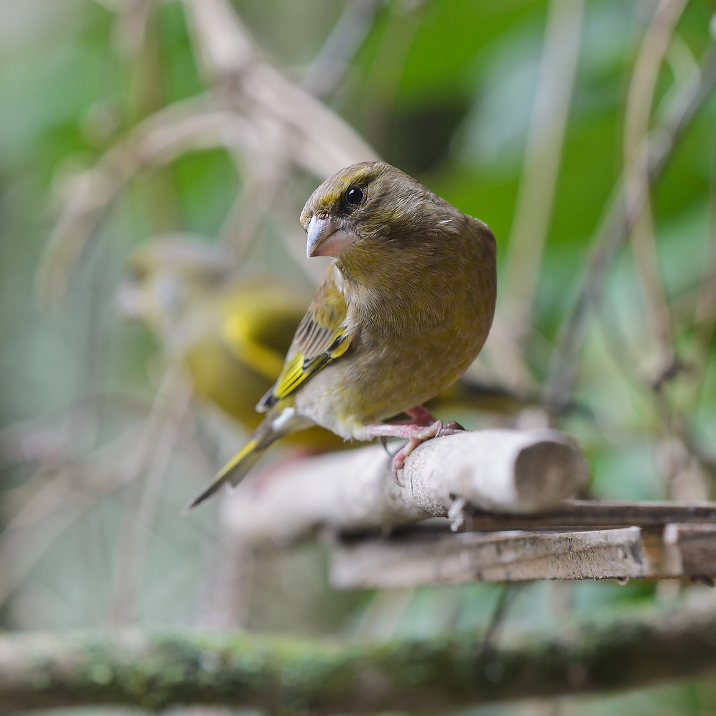 20120115 7371 [NIKON D5100] 155 mm,1 40 Sek. bei ƒ   5,6