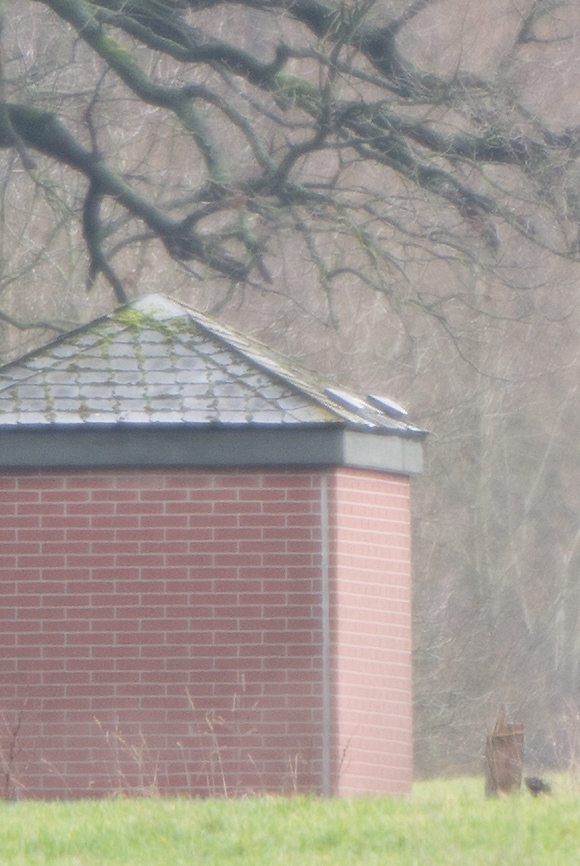 20120121 1770 [NIKON 1 V1] 400 mm,1 40 Sek. bei ƒ   4,0 2