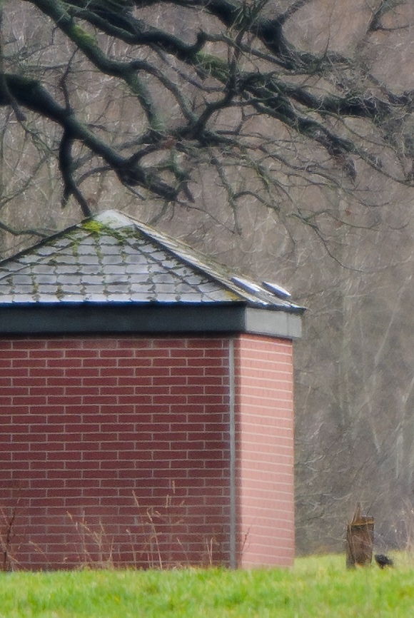 20120121 1770 [NIKON 1 V1] 400 mm,1 40 Sek. bei ƒ   4,0 3