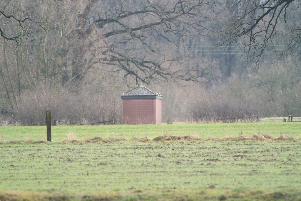 20120121 1770 [NIKON 1 V1] 400 mm,1 40 Sek. bei ƒ   4,0