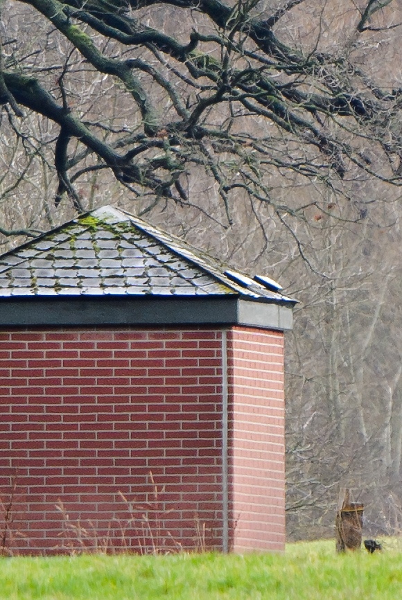 20120121 1772 [NIKON 1 V1] 400 mm,1 25 Sek. bei ƒ   5,6 2