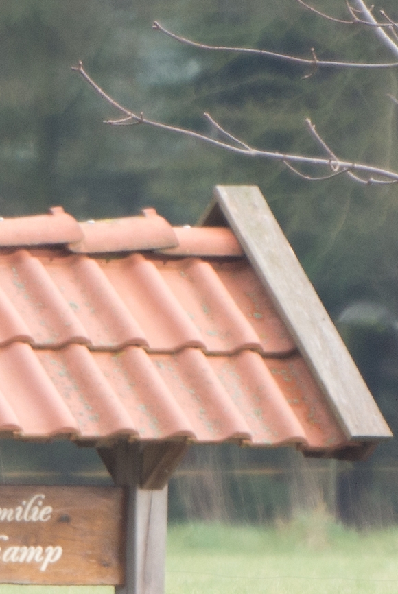 20120121 1775 [NIKON 1 V1] 400 mm,1 25 Sek. bei ƒ   4,0