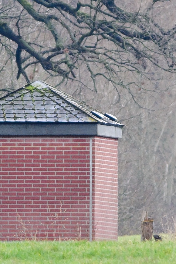 20120121 1787 [NIKON 1 V1] 420 mm,1 15 Sek. bei ƒ   5,6 2