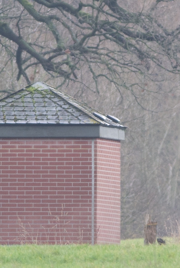 20120121 1787 [NIKON 1 V1] 420 mm,1 15 Sek. bei ƒ   5,6
