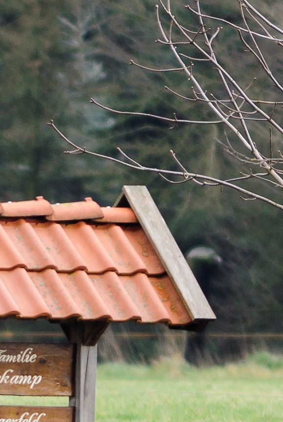 20120121 1797 [NIKON 1 V1] 300 mm,1 30 Sek. bei ƒ   2,8 2