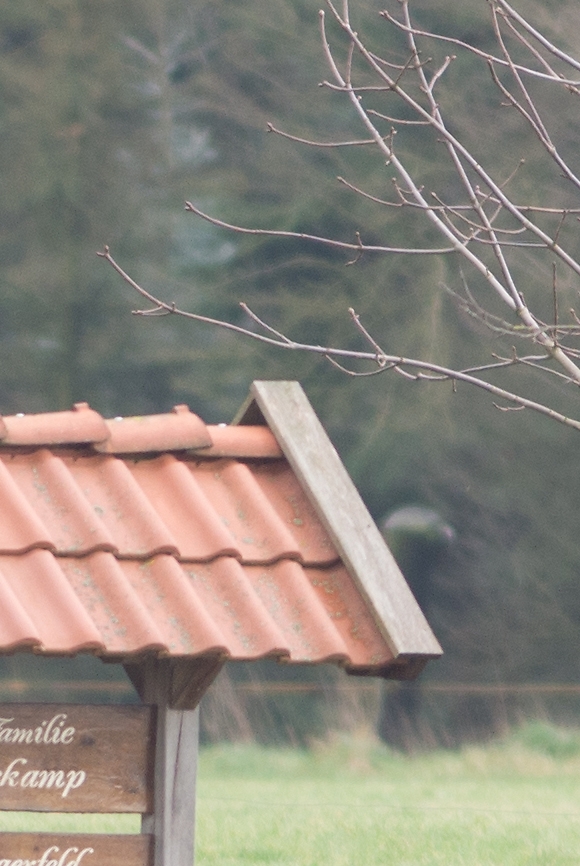 20120121 1797 [NIKON 1 V1] 300 mm,1 30 Sek. bei ƒ   2,8