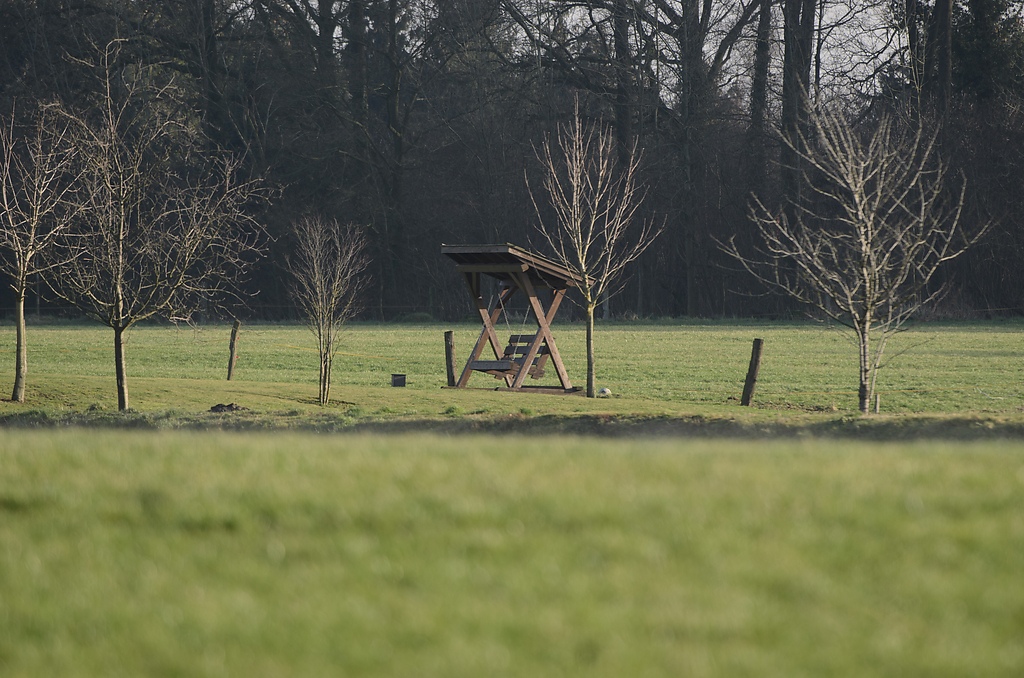 20120127 7734 [NIKON D7000] 360 mm,1 250 Sek. bei ƒ   5,0
-> Übersicht