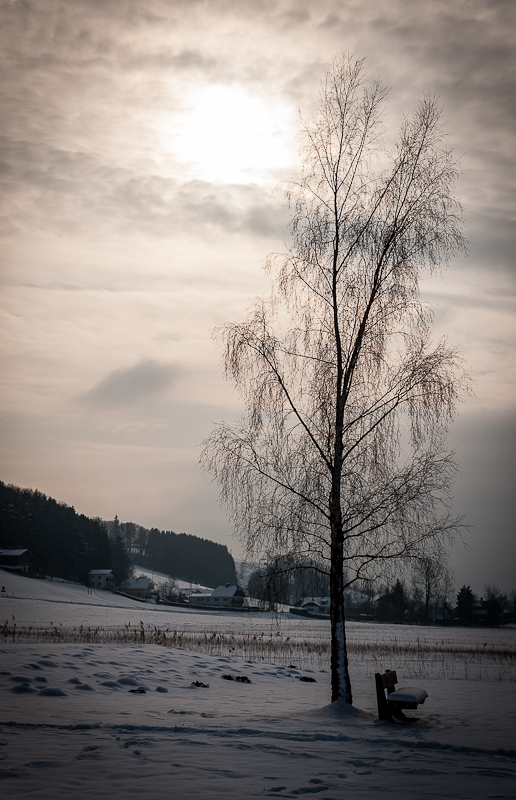 20120203 105817 02