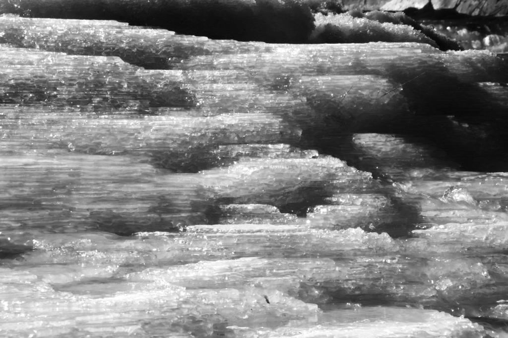 20120205 1232  DSC2887 sw