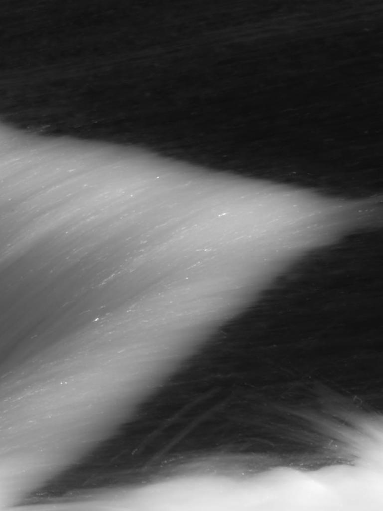 20120205 1346  DSC2927 cl