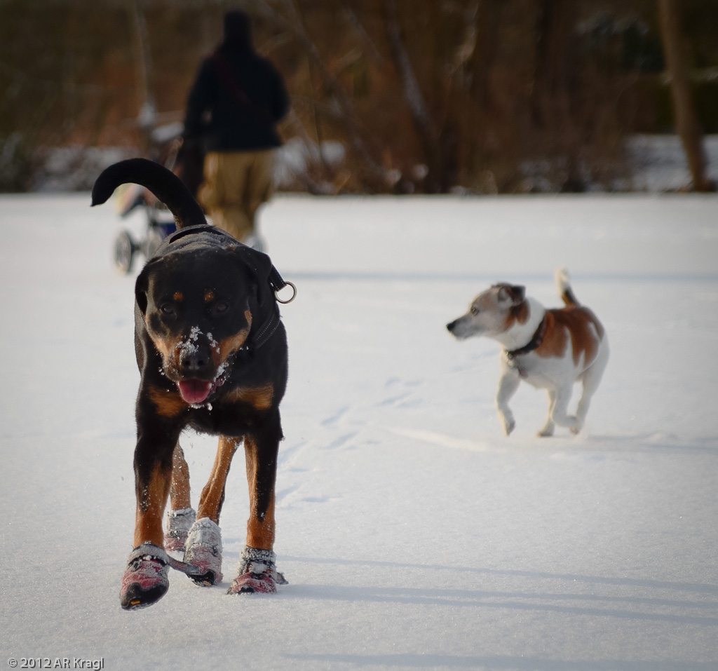 20120207Paula 0622