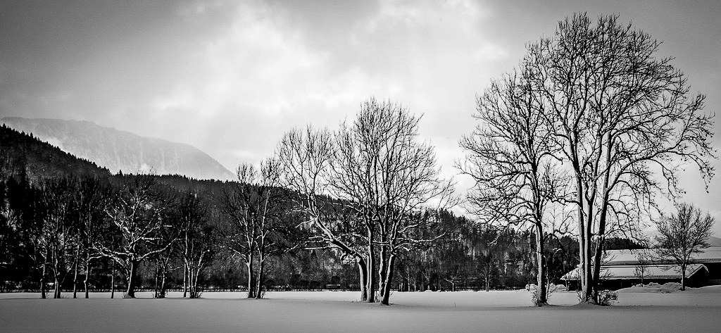20120216 124545 sw