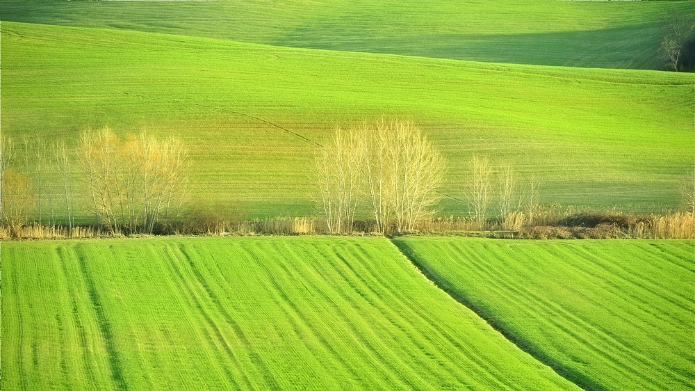 2012031417311200