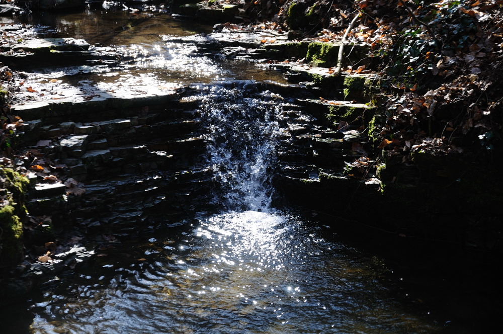 20120325 101005  © R.Wolf Lemgo