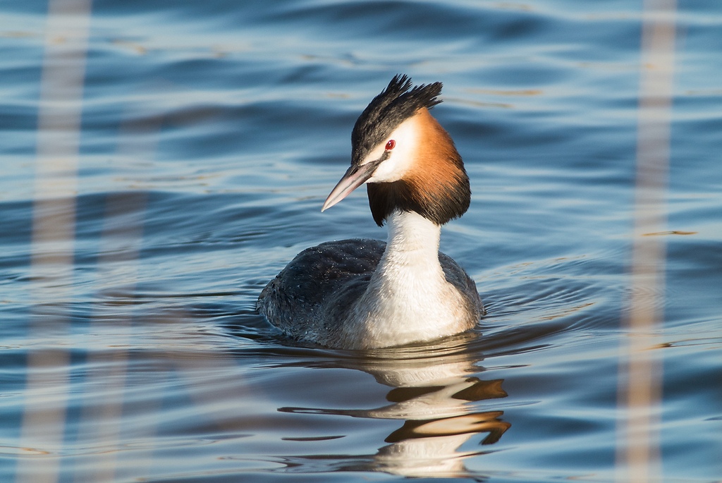 20120325 5639 [NIKON 1 V1] 500 mm,1 500 Sek. bei ƒ   6,3