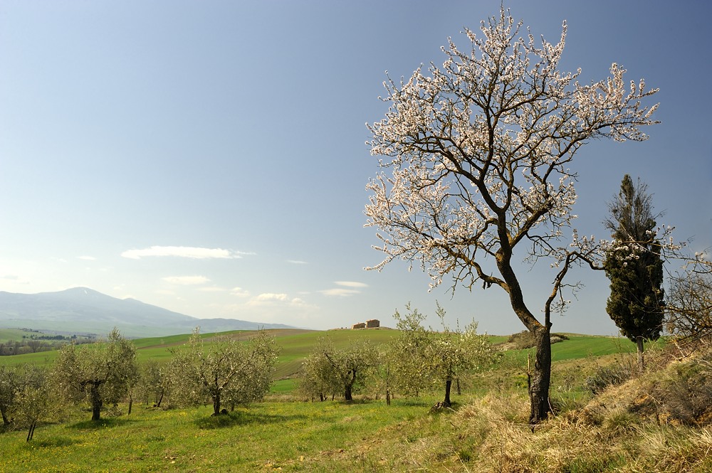 2012032512041538