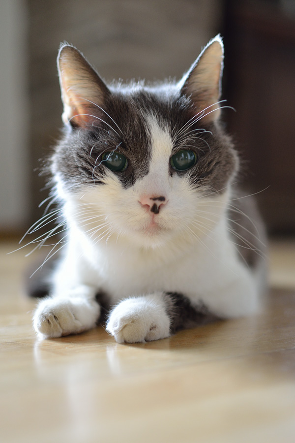 20120330 DSC 0522