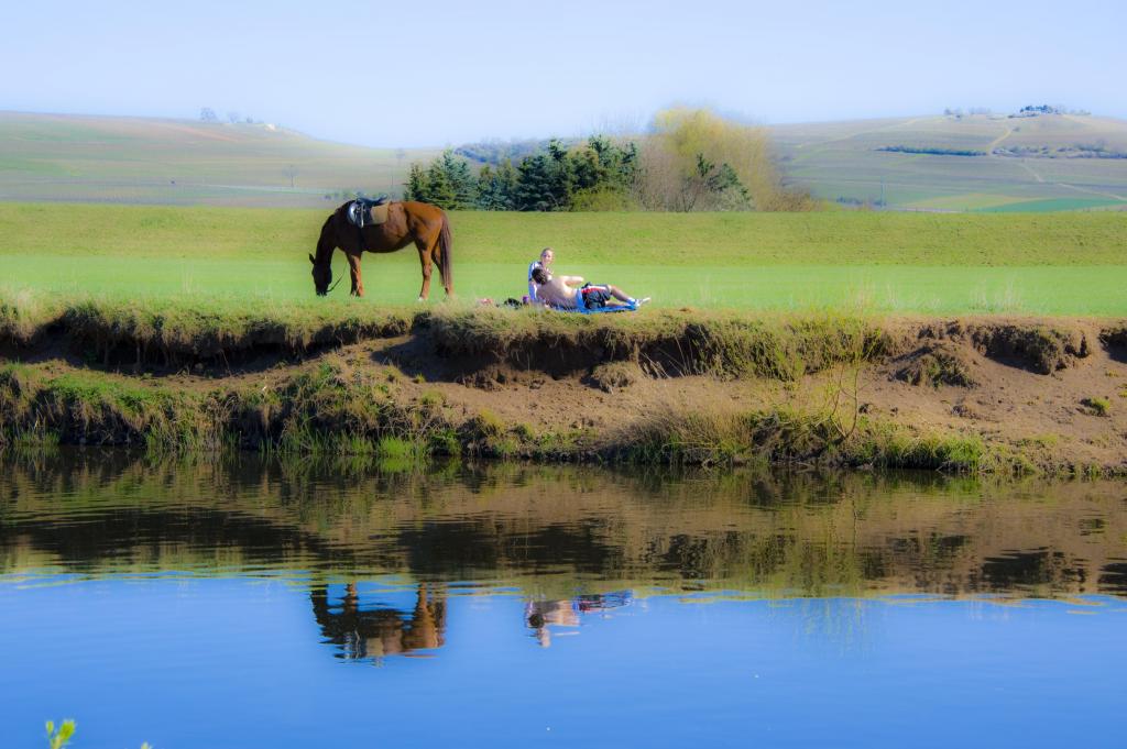 20120401 1515 DSC 3245