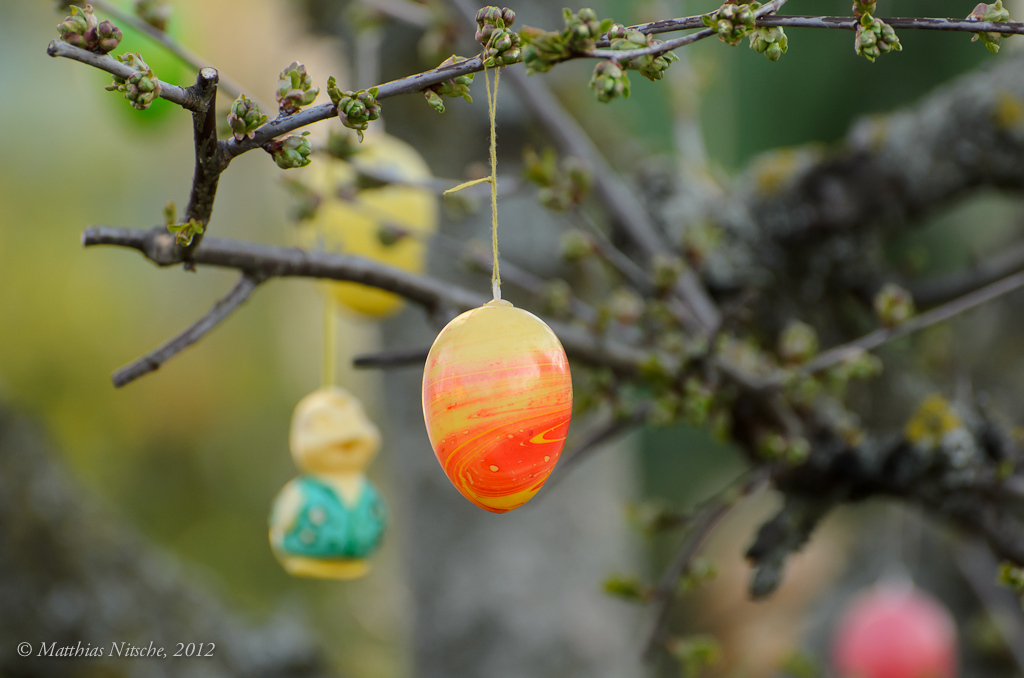 20120408 pic mn 003 Osterei