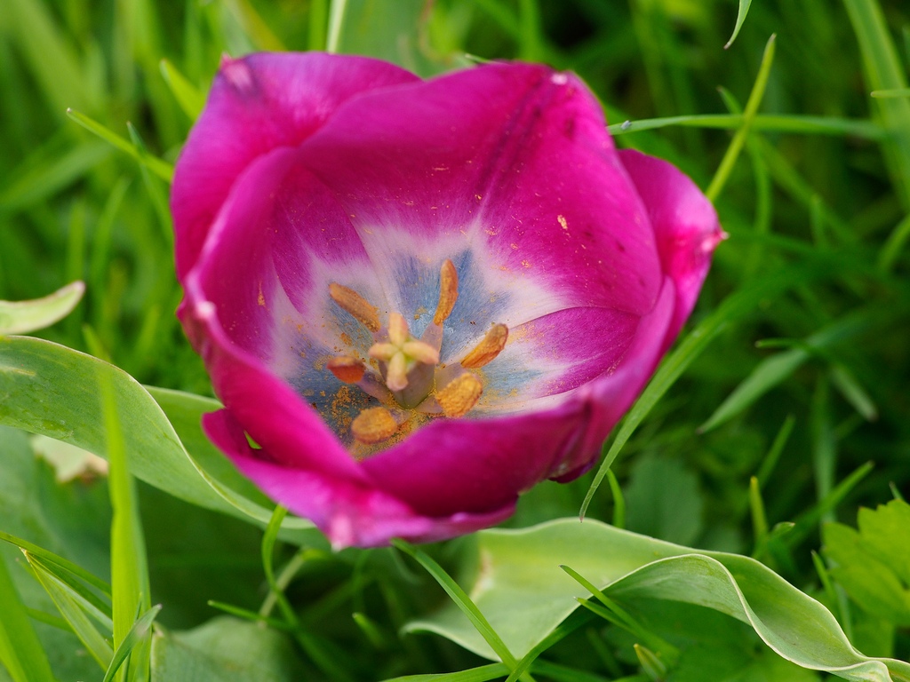 20120427 0531 [E M5] 205 mm,1 250 Sek. bei ƒ   6,3 2