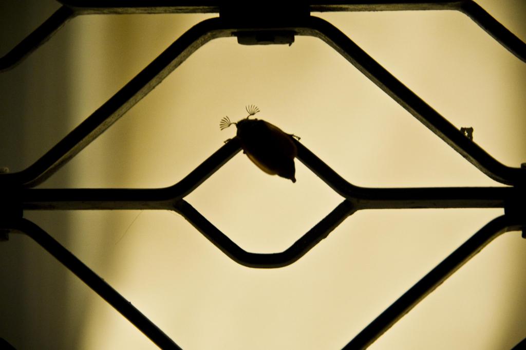 20120428 2100 DSC 3497