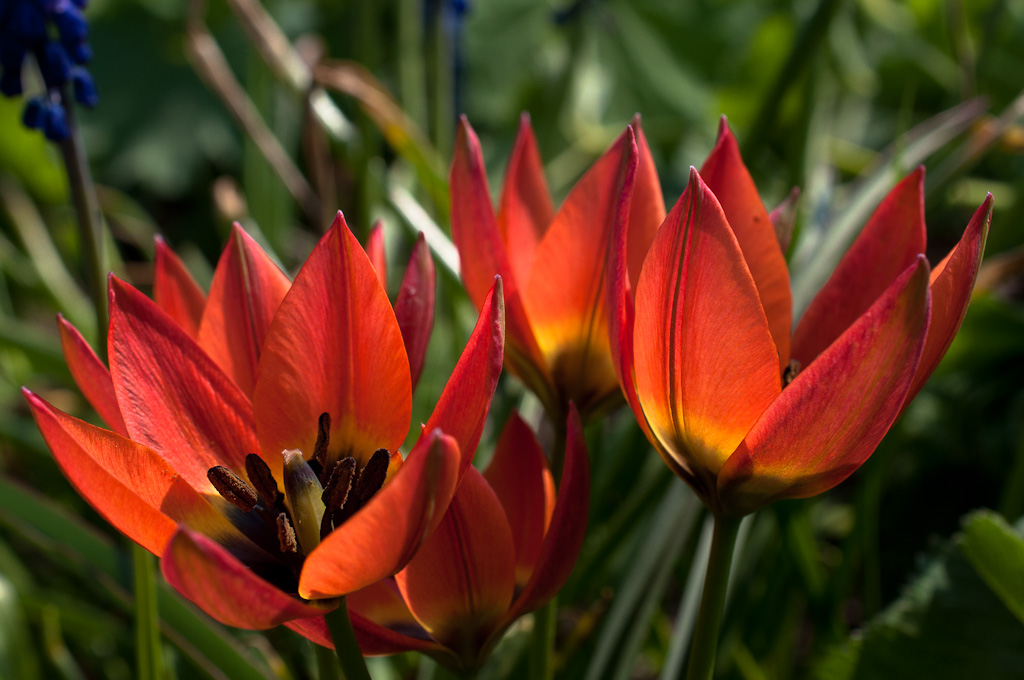 20120503  DSC6446