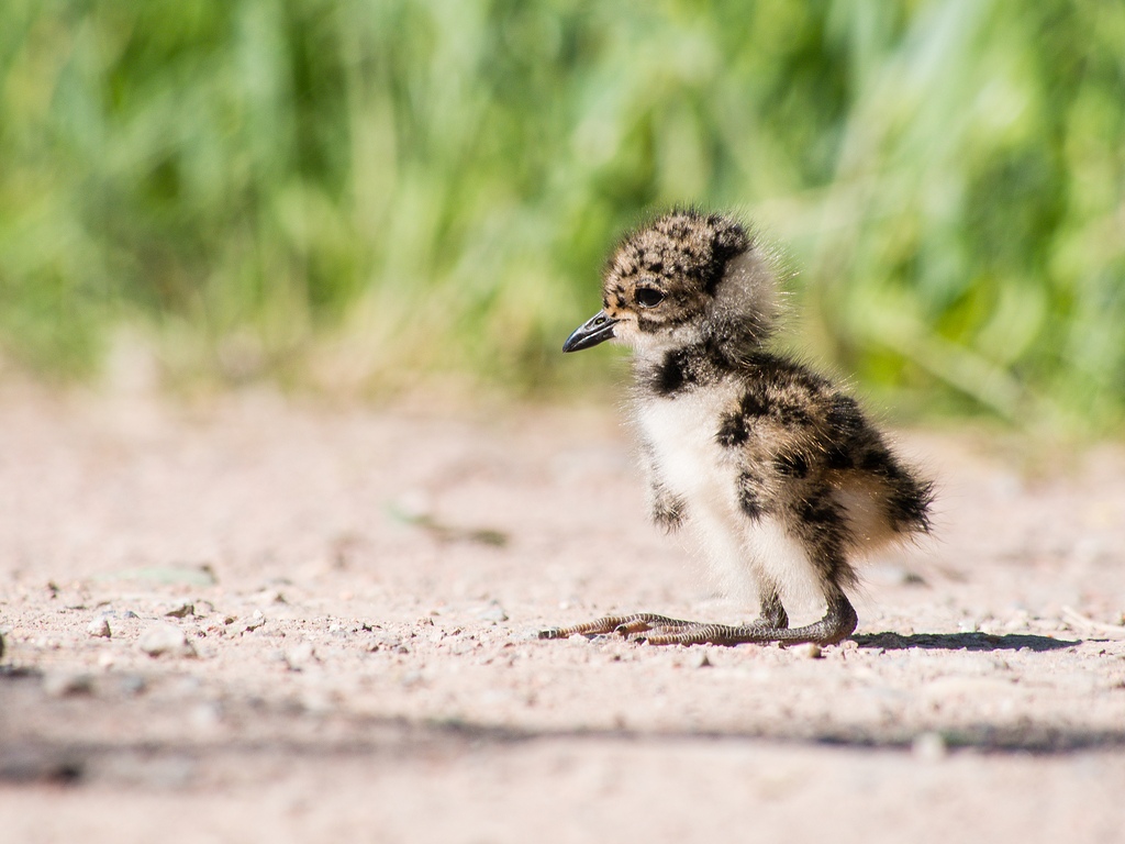 20120525 0321 [E M5] 300 mm,1 320 Sek. bei ƒ   8,0 5